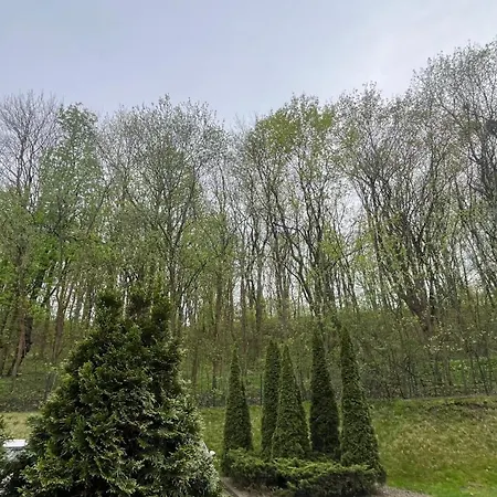 アパート Forest In The City *