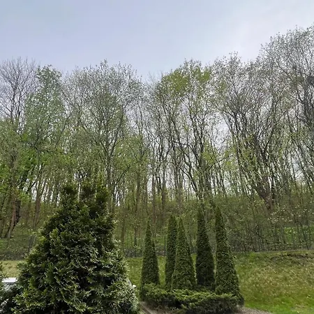 Apartment Forest In The City *