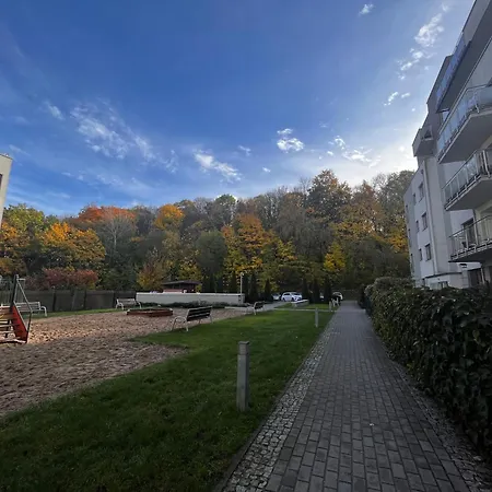 Forest In The City *