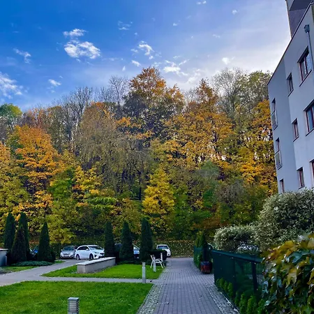 Forest In The City * Gdansk