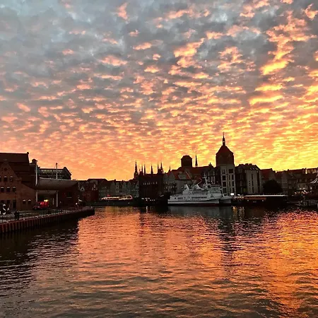 Forest In The City *